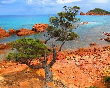 Il Vigneto * Cardedu
