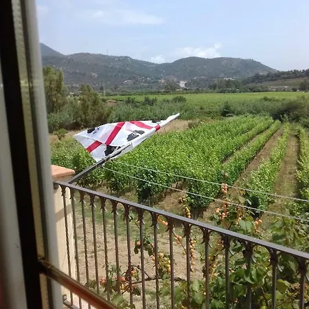 Il Vigneto