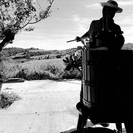 Il Vigneto Landhaus *